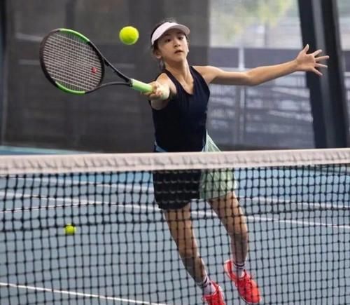 职业生涯的 职业生涯的