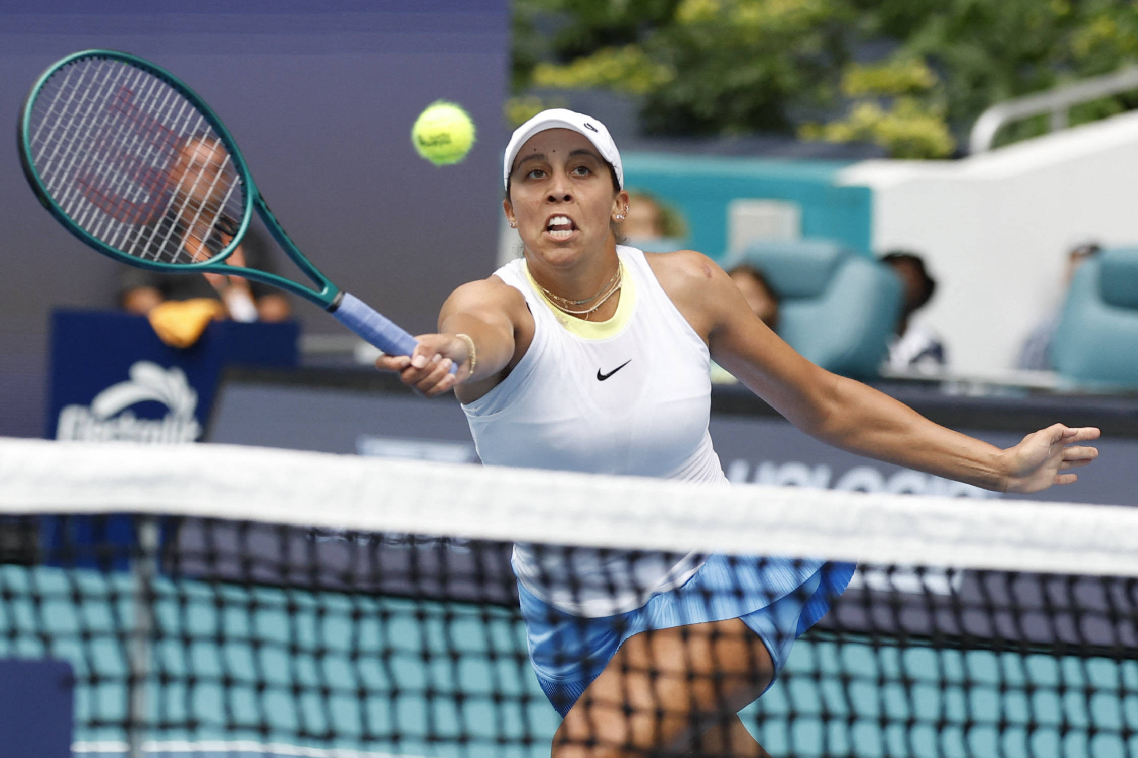 意双语版本 意双语版本