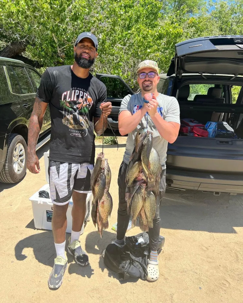 型与封盖统 型与封盖统